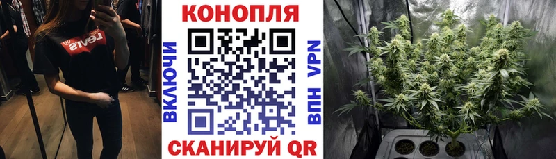 Конопля ГИДРОПОН  купить наркоту  MEGA   Сафоново 